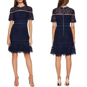 Bardot Navy Lace Fit-and-Flare Dress